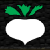 Turnip